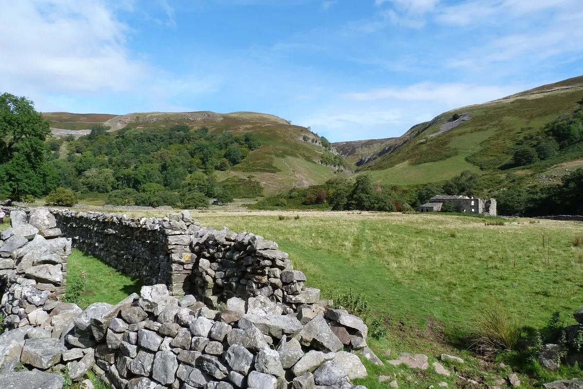 Falconry in the UK: A Month-by-Month Guide to Seasonal Training and Hunting